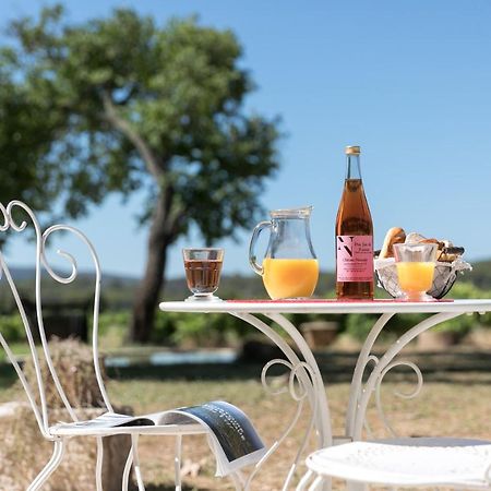 Chateau Nestuby Cotignac Dış mekan fotoğraf