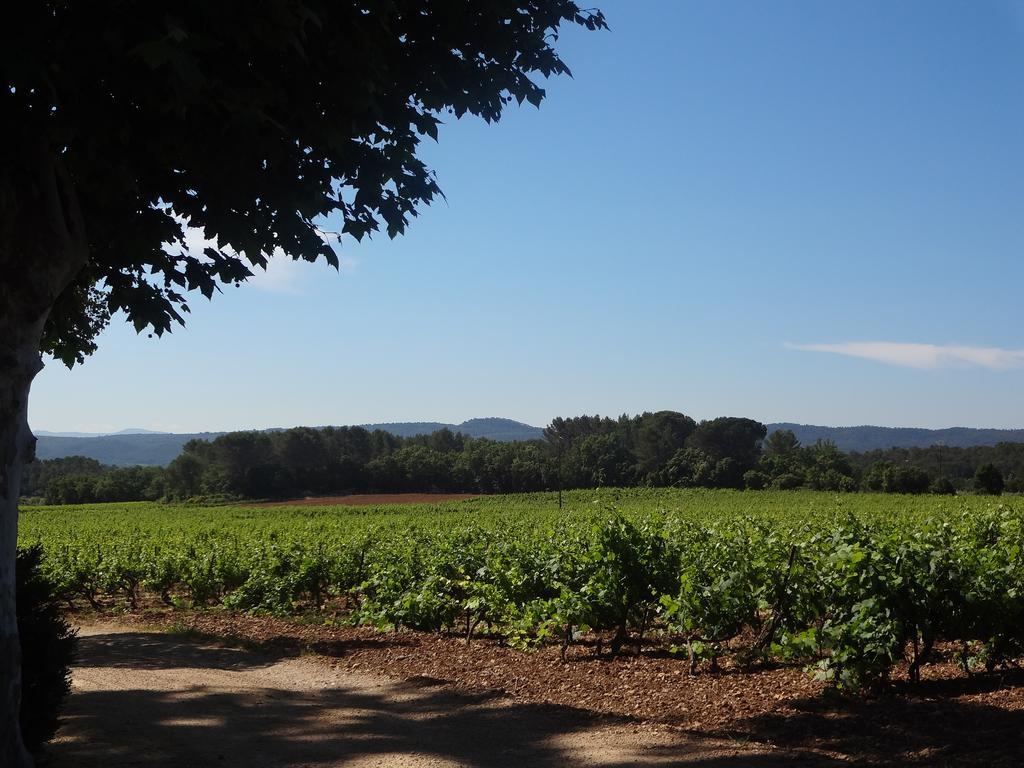 Chateau Nestuby Cotignac Dış mekan fotoğraf